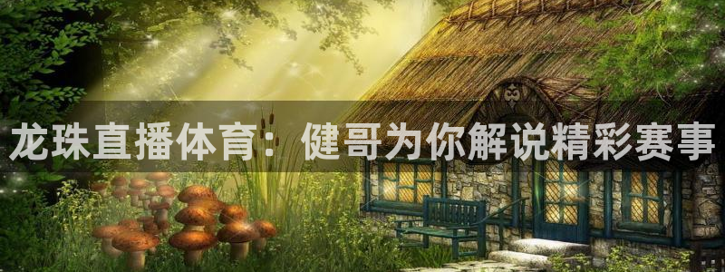 龙门体育在线直播：龙珠直播体育：健哥为你解说精彩赛事