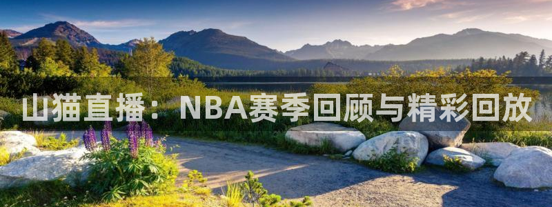 龙门直播：山猫直播：NBA赛季回顾与精彩回放