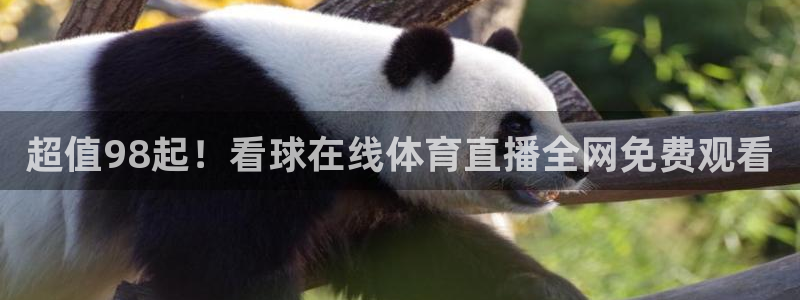 龙门镖局超清在线观看：超值98起！看球在线体育直播全网免费观看