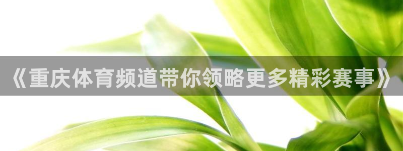 龙门免费直播平台：《重庆体育频道带你领略更多精彩赛事》