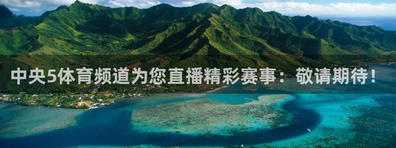 龙门直播nba免费直播在线观看：中央5体育频道为您直播精彩赛事：敬请期待！
