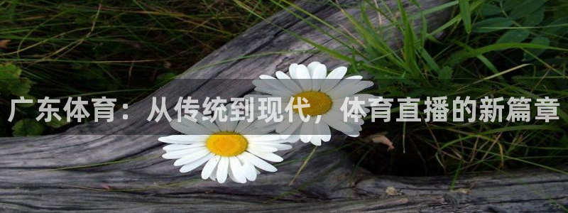 龙门nba直播：广东体育：从传统到现代，体育直播的新篇章