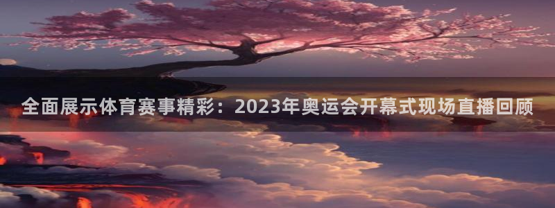 龙门飞甲哪个平台可以看：全面展示体育赛事精彩：2023年奥运会开幕式现场直播回顾