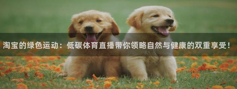 龙门nba免费直播：淘宝的绿色运动：低碳体育直播带你领略自然与健康的双重享受！