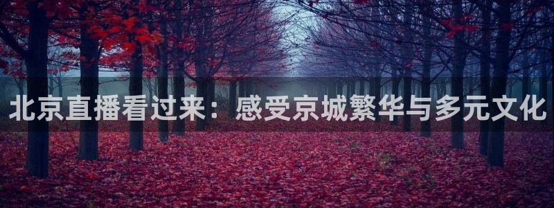 龙门直播体育：北京直播看过来：感受京城繁华与多元文化