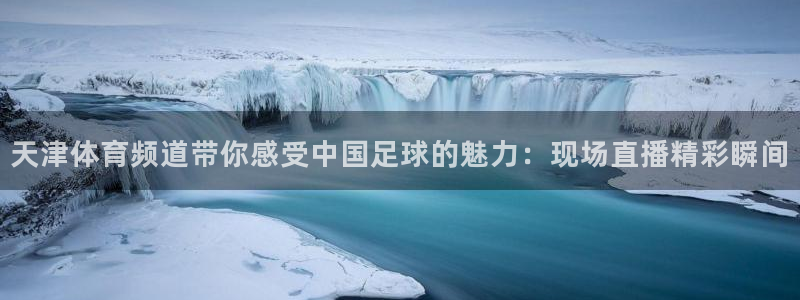 龙门镖局直播：天津体育频道带你感受中国足球的魅力：现场直播精彩瞬间