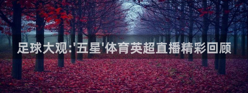 看球直播龙门直播：足球大观:\'五星\'体育英超直播精彩回顾