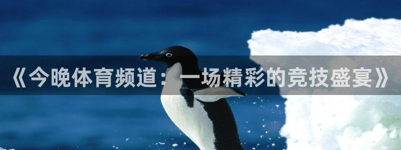 龙门体育视频直播：《今晚体育频道：一场精彩的竞技盛宴》